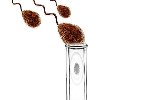 2021試管嬰兒國家補貼是怎么回事？看一下